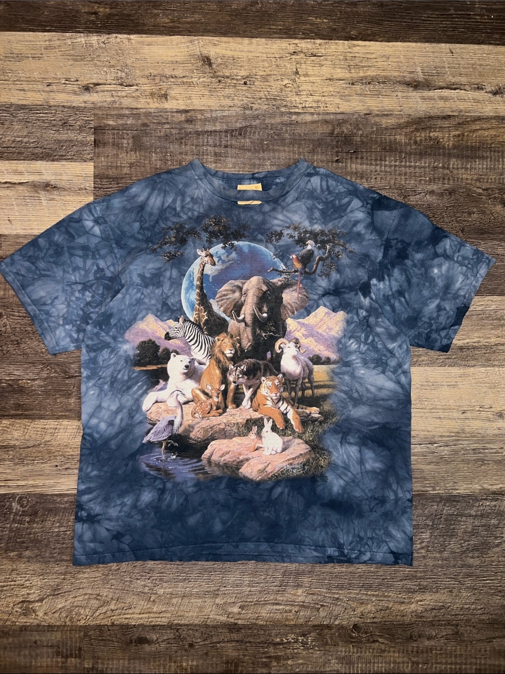 1990’s The Mountain Nature T-shirt